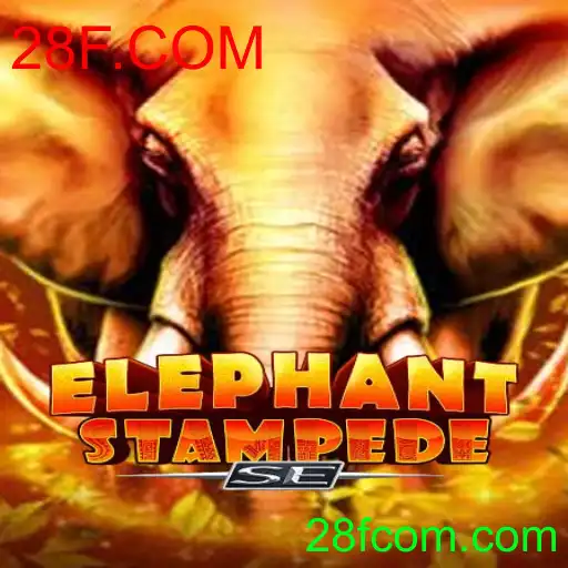 ElephantStampedeSE